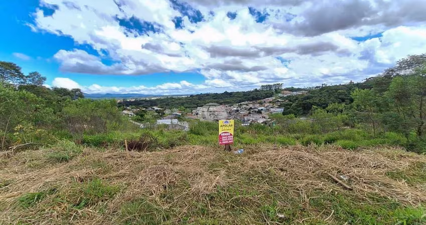 Terreno para venda em Campina Grande Do Sul de 390.00m²