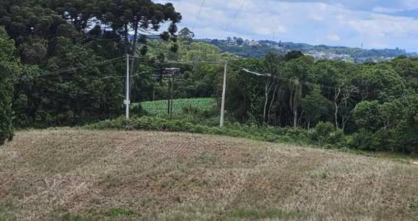 Casa para venda em Vila David Antônio de 20600.00m² com 1 Quarto