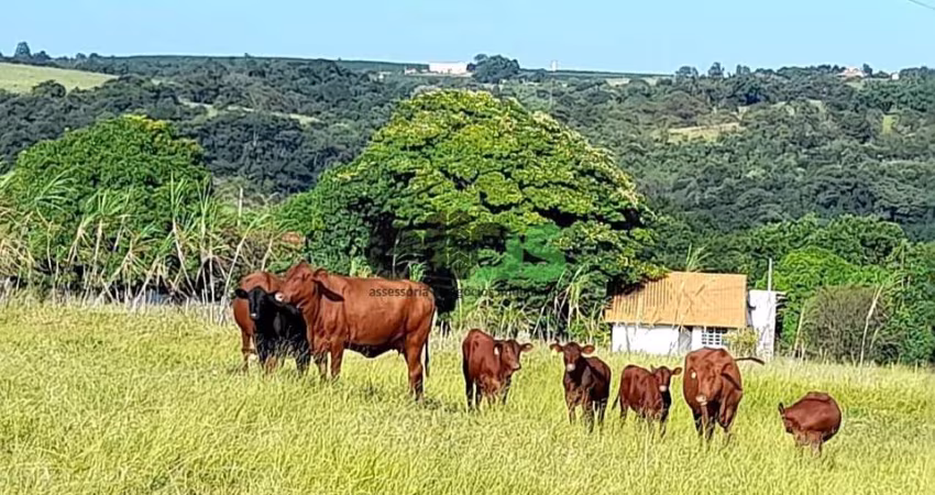 Fazenda / Sítio para venda em Centro de 30.50m² com 1 Quarto
