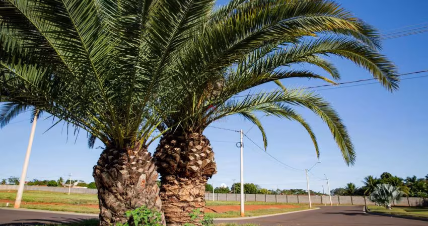 Lote / Terreno para venda em Conjunto Habitacional Elias Stefan de 362.00m²