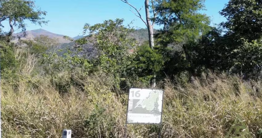 Terreno para venda em Pedro Do Rio de 21330.00m²