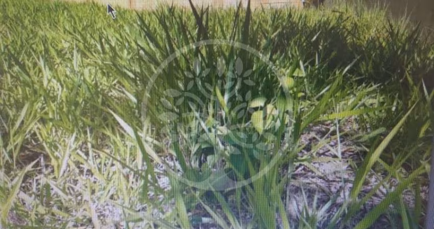 Terreno para venda em Bonfim Paulista de 290.00m²