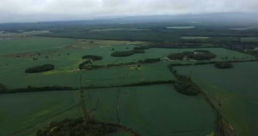 Fazenda / Sítio para venda em Cidade Industrial de 532.00m² com 1 Quarto