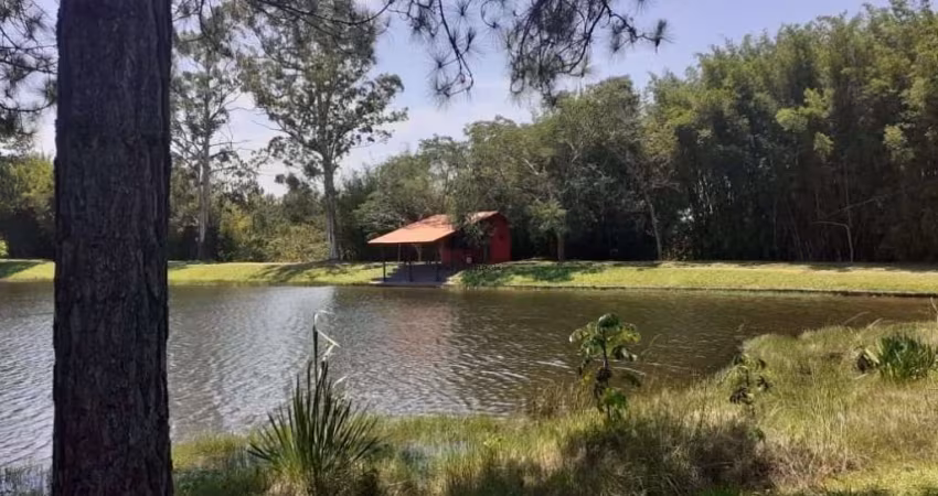 Terreno para venda em Floresta de 1000.00m²