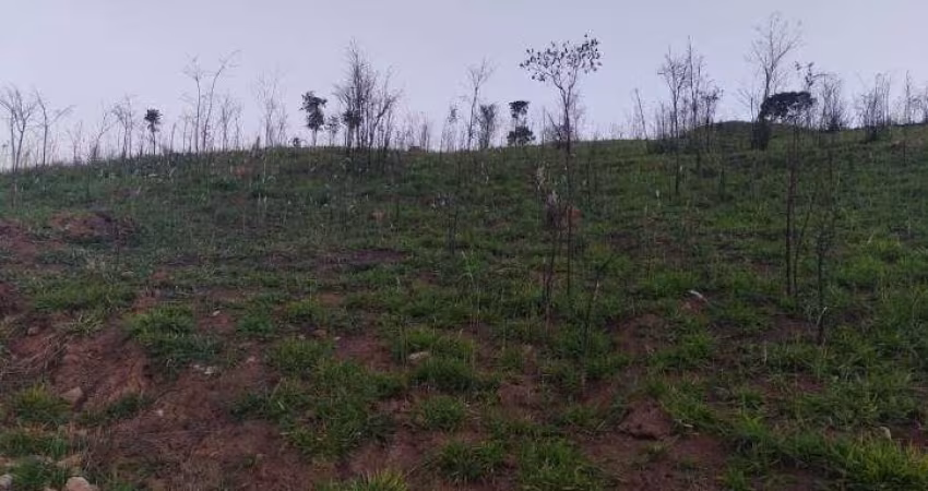 Terreno para venda em Botujuru (botujuru) de 20456.00m²
