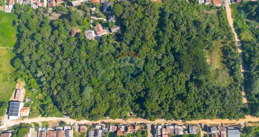 Terreno para venda em Lamenha Grande de 6237.00m²