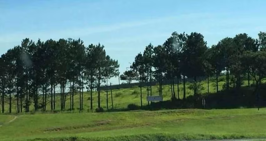 Terreno para venda e aluguel em Vila Artura de 10900.00m²