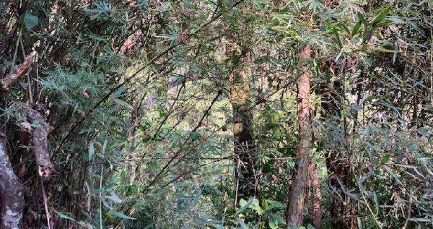 Terreno para venda em Jardim Colibri de 1095.00m² com 1 Quarto