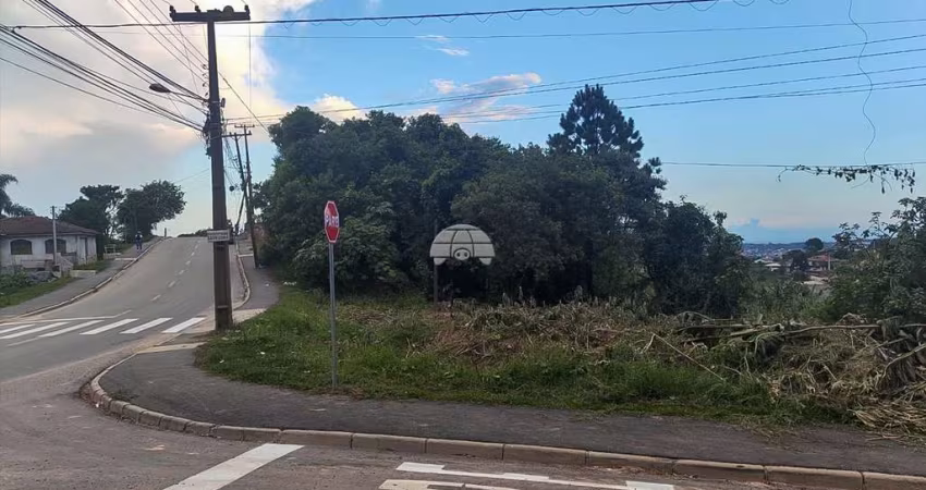 Terreno para venda em Colônia Antônio Prado de 498.00m²