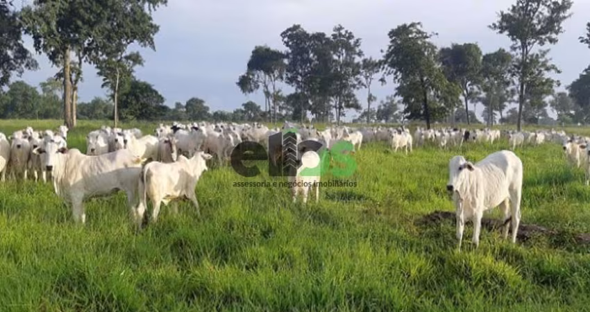 Fazenda / Sítio para venda em Zona Rural de 900.00m² com 1 Quarto