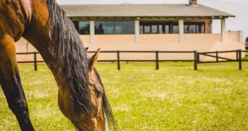 Fazenda / Sítio para venda em Tijucas Do Sul de 3000.00m² com 5 Quartos e 5 Suites