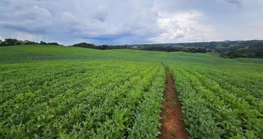 Fazenda / Sítio para venda em Campo Magro de 3303.00m² com 1 Quarto
