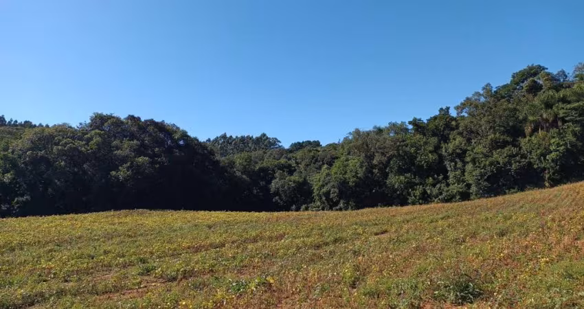 Chácara para venda em Área Rural De Araucária de 23482.00m² com 1 Quarto