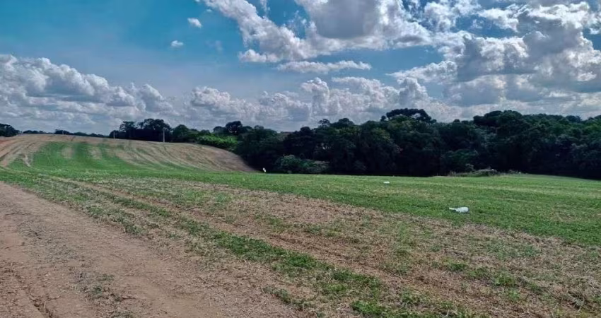 Chácara para venda em Área Rural De Araucária de 23606.00m² com 1 Quarto