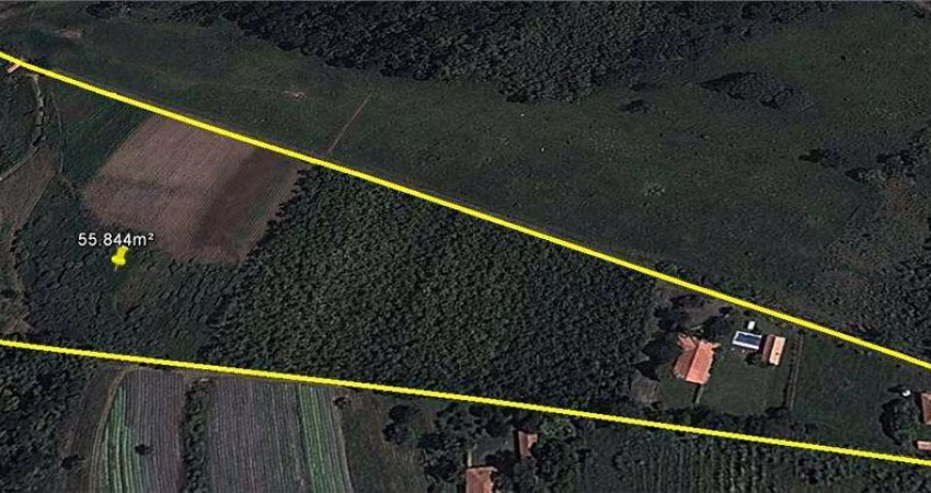 Imóvel Comercial para venda em Helvétia Country de 55844.00m²