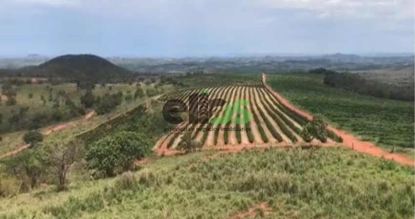Fazenda / Sítio para venda em Centro de 1674.00m² com 1 Quarto
