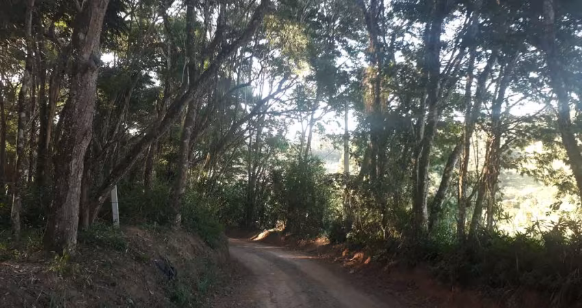Terreno para venda em Ortizes de 1000.00m²