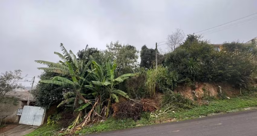 Terreno para venda em Roça Grande de 487.00m²