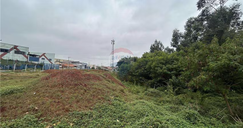 Lote / Terreno para venda em Jardim São Jorge de 12327.97m²