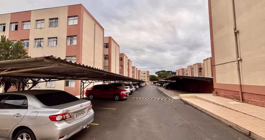 Apartamento para venda em Novo Mundo de 63.00m² com 3 Quartos e 1 Garagem