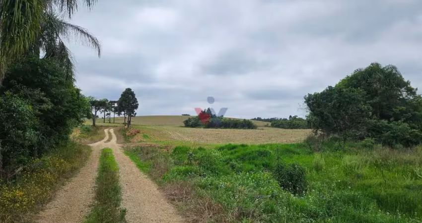 Chácara para venda em contenda de 847000.00m² com 1 quarto