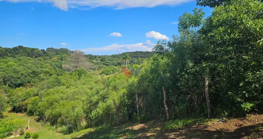 Chácara para venda em contenda de 7000.00m² com 1 quarto
