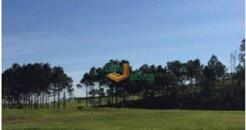 Imóvel comercial para venda e aluguel em vila artura de 10900.00m²