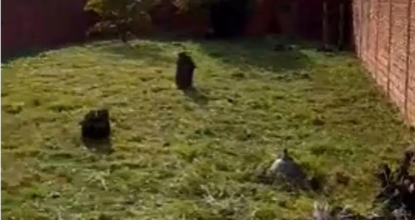 Terreno para venda em vila cidade jardim de 300.00m²