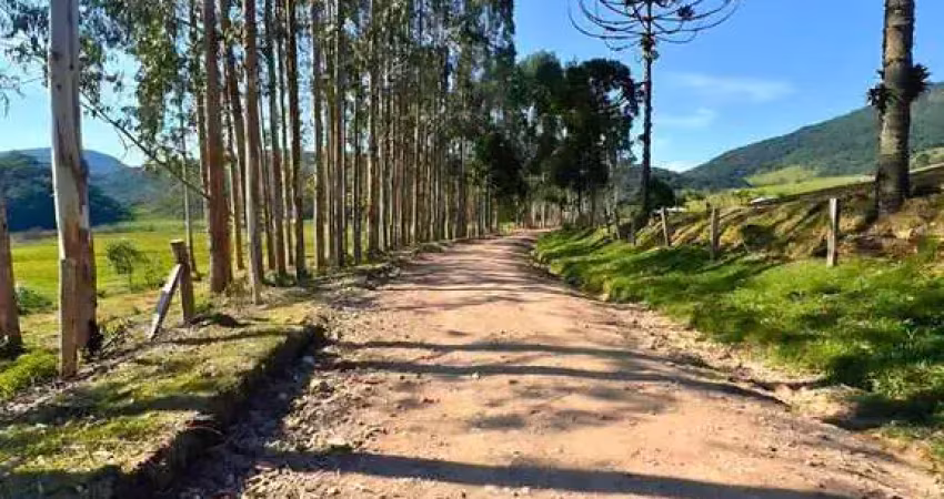 Fazenda / sítio para venda em colônia murici de 2178000.00m² com 7 quartos