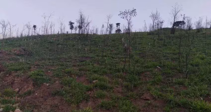 Terreno para venda em botujuru (botujuru) de 20456.00m²