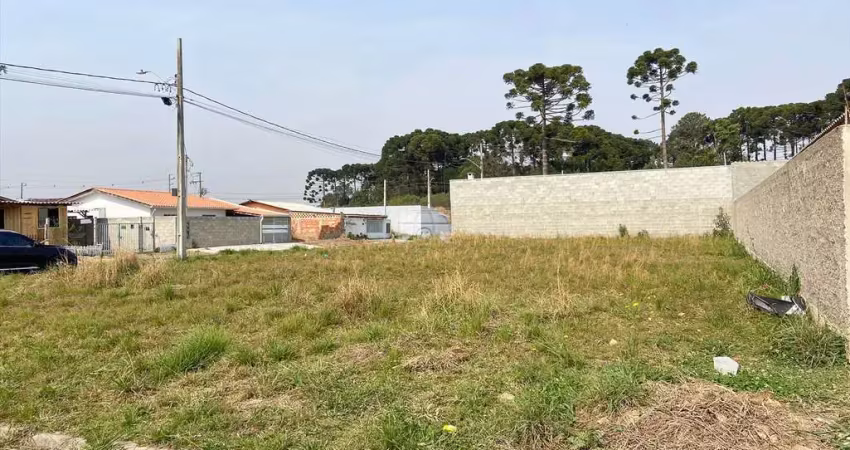 Terreno à venda na Rua Ignez Gazzola Cruz, 001, Rio Pequeno, São José dos Pinhais