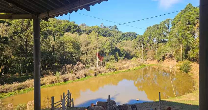 Chácara para venda em contenda de 130000.00m² com 4 quartos