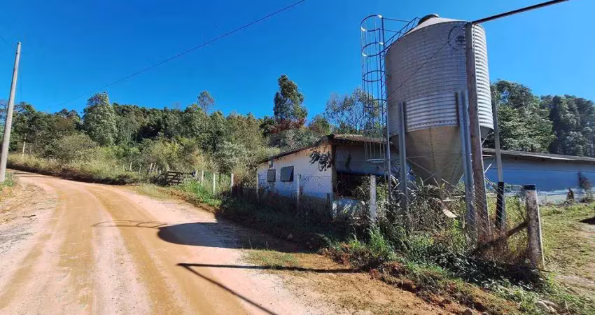 Chácara para venda em jardim itapema de 239800.00m² com 3 quartos