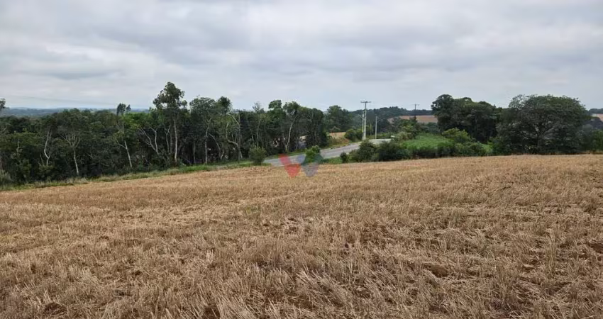 Terreno à venda no Guajuvira, Araucária 