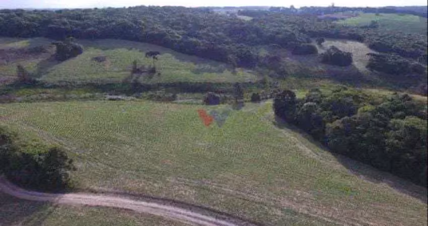 Chácara para venda em lapa de 677600.00m² com 2 quartos