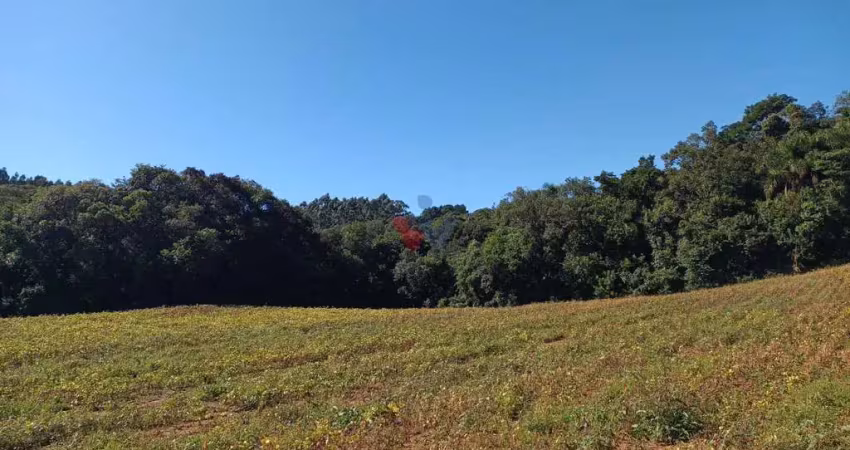 Chácara para venda em área rural de araucária de 23482.00m² com 1 quarto