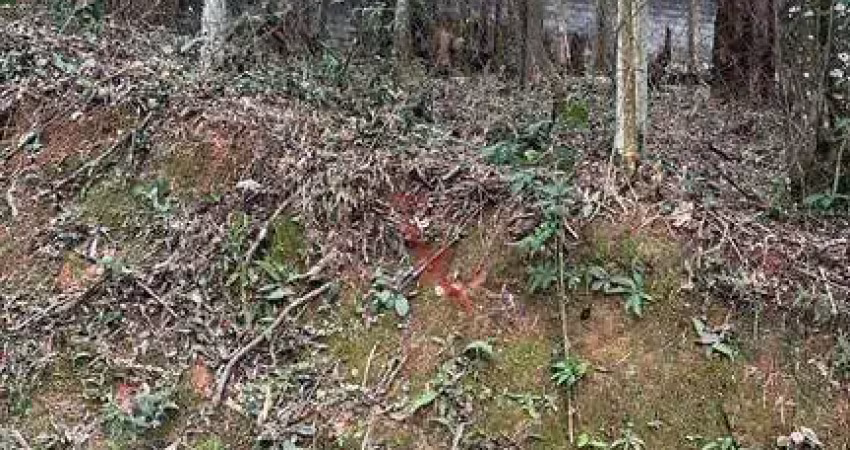 Terreno para venda em loteamento capital ville de 1016.00m²