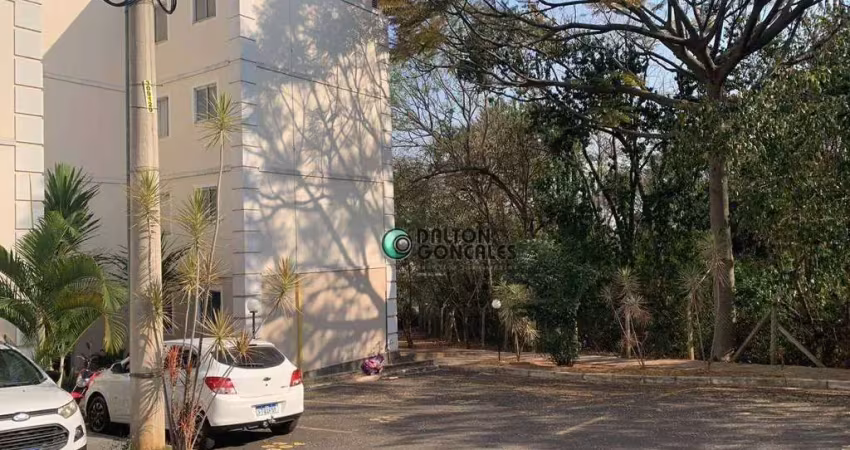 Apartamento para venda e aluguel em jardim planalto de 42.00m² com 2 quartos e 1 garagem
