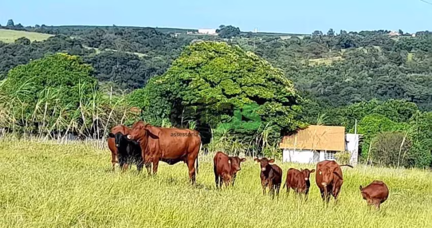 Fazenda / sítio para venda em centro de 30.50m² com 1 quarto