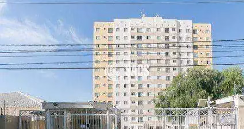 Apartamento para alugar em jardim anton von zuben de 47.00m² com 2 quartos e 1 garagem