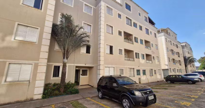 Apartamento para alugar em vila belvedere de 58.00m² com 2 quartos e 1 garagem