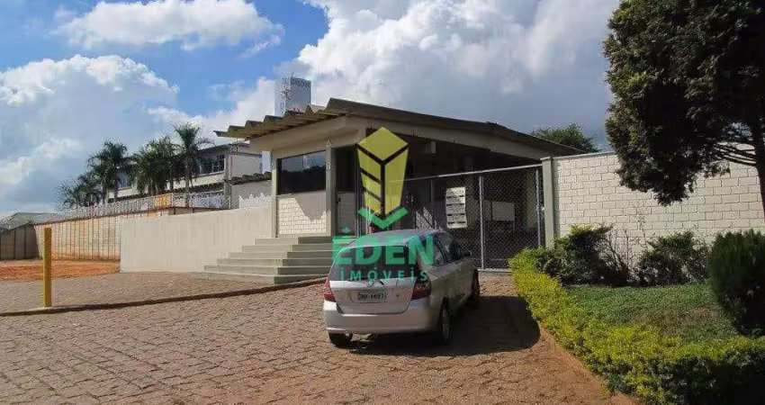 Galpão / depósito / armazém para alugar em aparecidinha de 4695.00m²