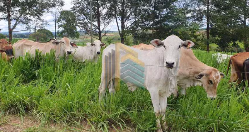 Fazenda / sítio para venda em condomínio topázio de 248.00m² com 1 quarto e 5 garagens