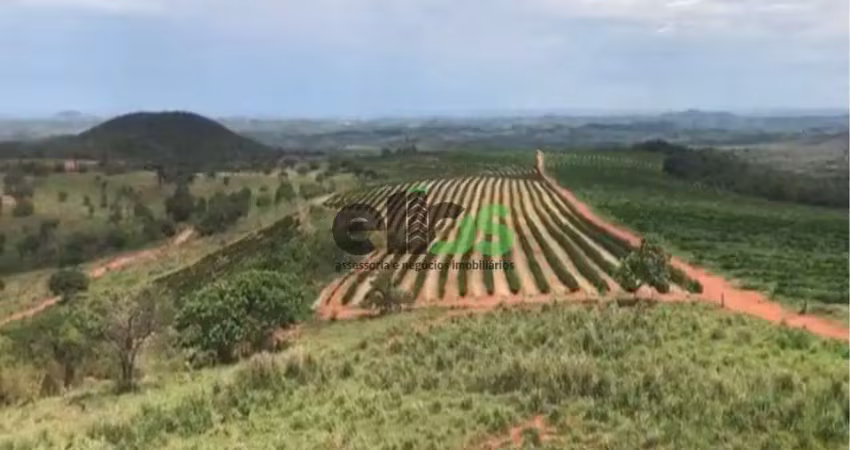 Fazenda / sítio para venda em centro de 1674.00m² com 1 quarto