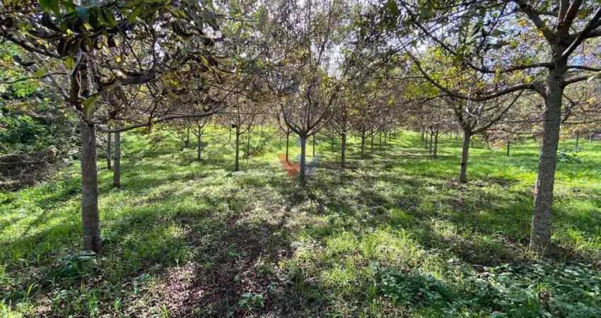 Chácara para venda em quitandinha de 47270.00m² com 1 quarto