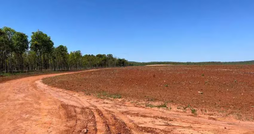 Fazenda / sítio para venda em centro de 4057000000.00m² com 1 quarto