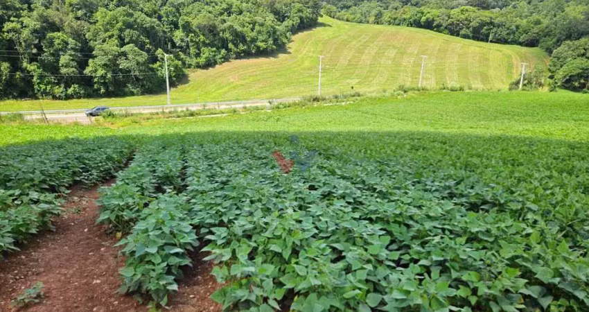 Chácara para venda em área rural de araucária de 21850.00m² com 1 quarto