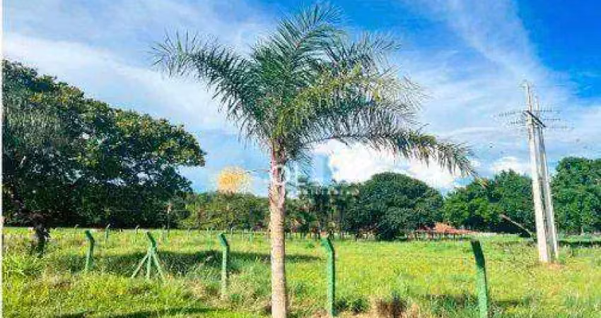 Terreno à venda no Centro, Cardoso 