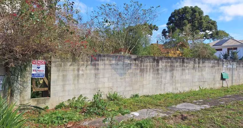 Terreno à venda na Rua Luiz Antônio Biazzetto, 358, São Lourenço, Curitiba