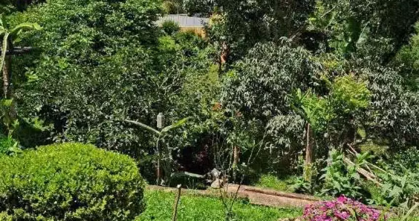 Fazenda / sítio para venda em vila nova bonsucesso de 6500.00m² com 4 quartos e 1 suite